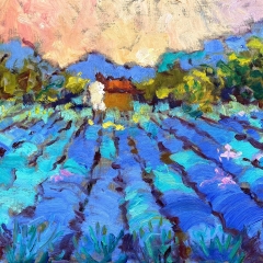 SOLD - The Right Lavender