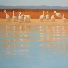 Basking on the Beach - Oil on Canvas - 36" x 36"
