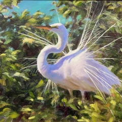 Fluffed Up - Oil on Canvas - 20" x 24"