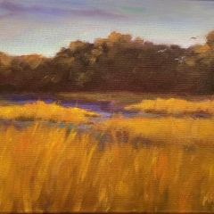 Late Afternoon Marsh - Oil on Canvas - 11" x 14"