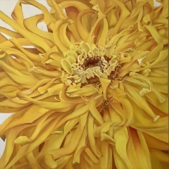 SOLD - Aurelina - Oil on Canvas - 30" x 30"