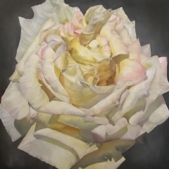 Blanca - Oil on Canvas - 30" x 30"