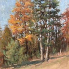 Autumn Woods - Oil on Canvas - 14" x 11"