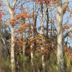 Autumn Forest - Oil on Canvas Panel - 20" x 16"