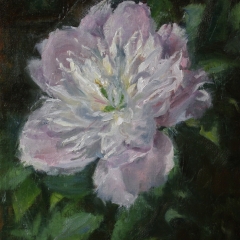 SOLD - Pink Peony