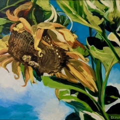 Sunflowers - Oil on Canvas - 18" x 24"