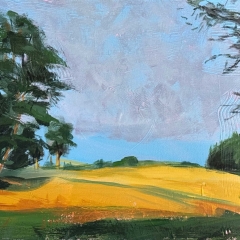 Rockwood Gold Field - Acrylic on Canvas - 12" x 18"