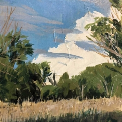 Rockwood Grasses - Acrylic on Canvas - 14" x 11"